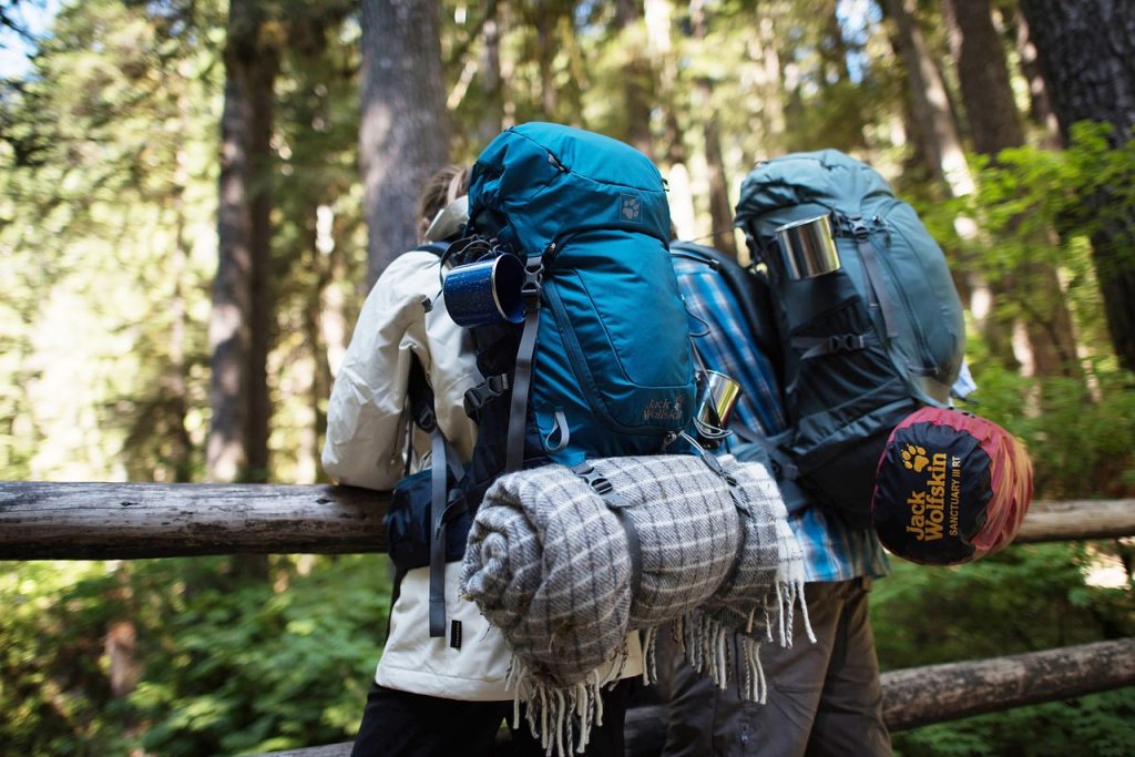outdoor, forest, backpacker-1844275.jpg